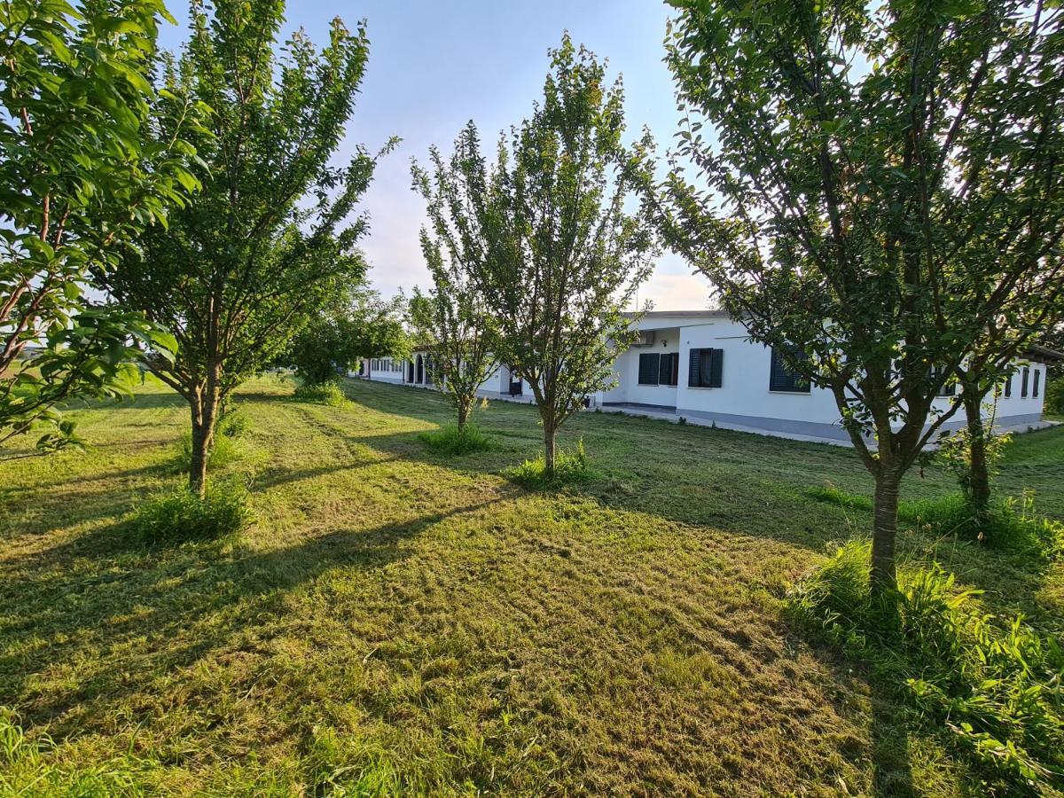 Agriturismo Ca Novak Venezia Spinea Exterior foto
