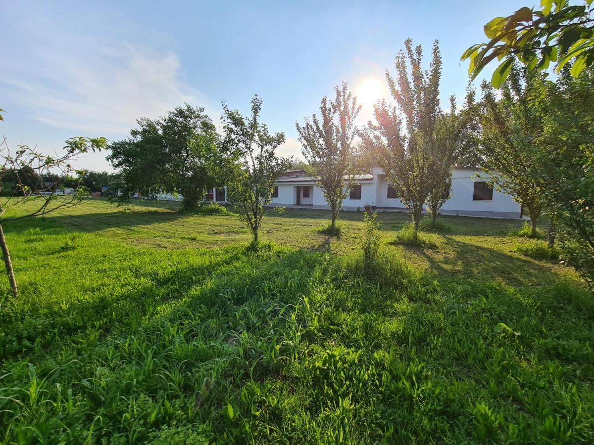Agriturismo Ca Novak Venezia Spinea Exterior foto